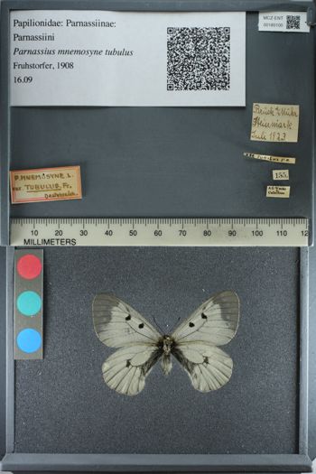 Media type: image;   Entomology 180100